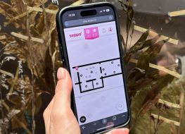 W centrum kadru lewa dłoń trzyma telefon komórkowy. Na nim wyświetla się mapka z gry edukacyjnej seppo. W tle rośliny - fragment pracy Alevtiny Kakhidze.