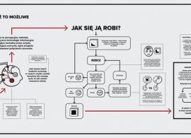 Infografika na białym tle. Zawiera tekst, wykres i niewielkie ilustracje. Elementy są głównie czarny, ale obecne są też czerwone akcenty.