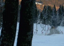Widok zimowego lasu przeciętego drogą. Na dwa samochody. Na pierwszym planie, po lewej dwa pnie drzew. Są nieostre.