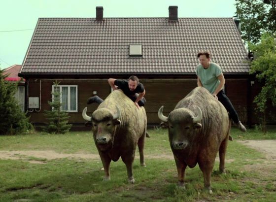 Dwie figury żubrów stojących na zielonej trawie obok siebie. Na każdym z nich siedzi mężczyzna. W tle drewniany domek oraz zieleń