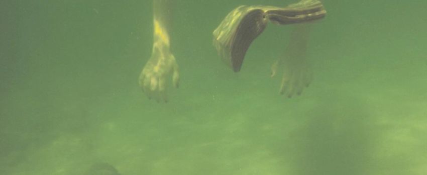 Kadr z filmu Tomasza Waszczeniuka "Budzenie motyla". Zdjęcie przedstawia wodną głębinę o bladozielonym kolorze. U góry widoczne zanurzone w wodzie ręce. Pomiędzy dłońmi spadająca na dno książka.