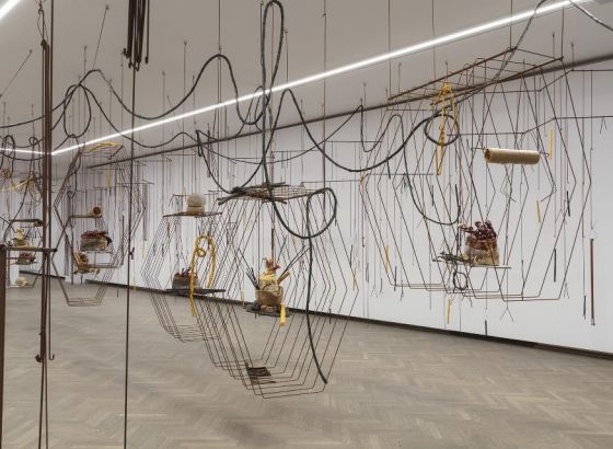 An installation made of wires, mushrooms, suspended in the space of the Arsenal Gallery. It fills a space with white walls