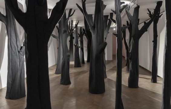 sala galerii wypełniona filcowymi ciemnoszarymi drzewami